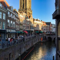 Lorem ipsum dolor sit amet consectetur