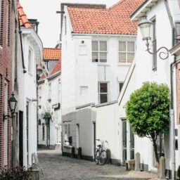 Lorem ipsum dolor sit amet consectetur